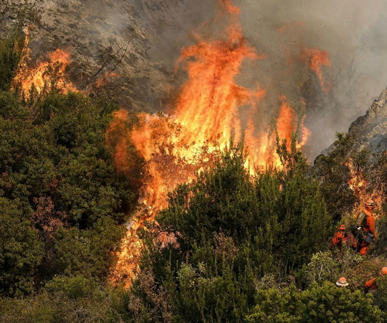 Ochrona przeciwpożarowa leśnictwa